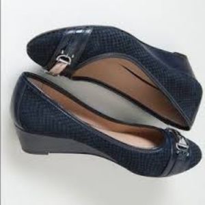 Antonio Melani Marva